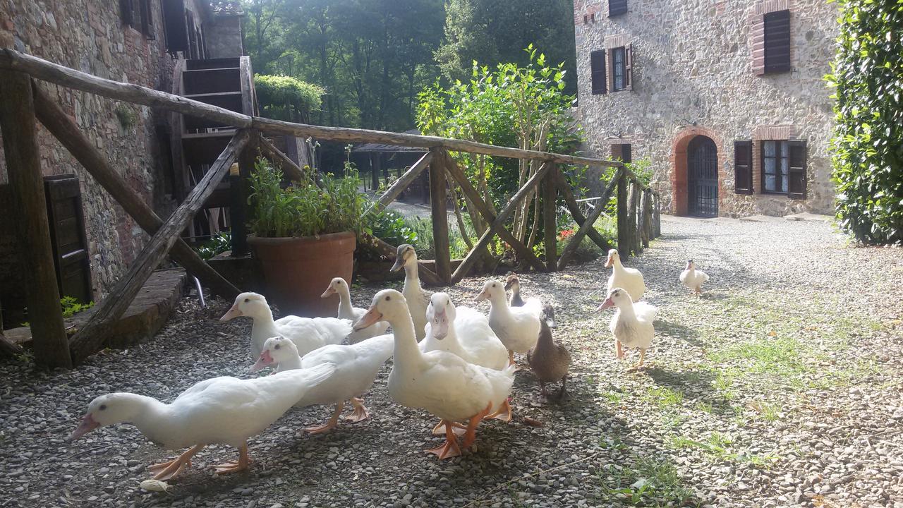 Agriturismo Il Mulino Delle Pile Chiusdino Εξωτερικό φωτογραφία
