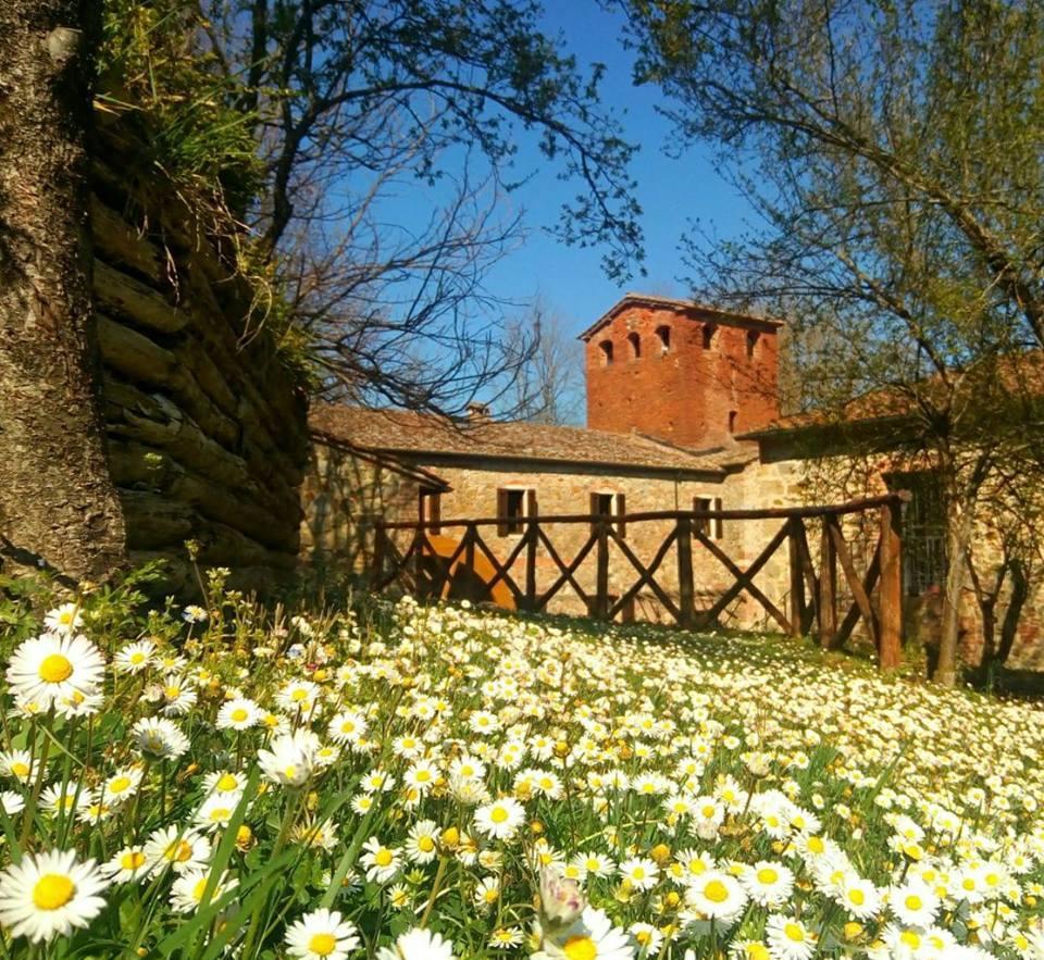 Agriturismo Il Mulino Delle Pile Chiusdino Εξωτερικό φωτογραφία