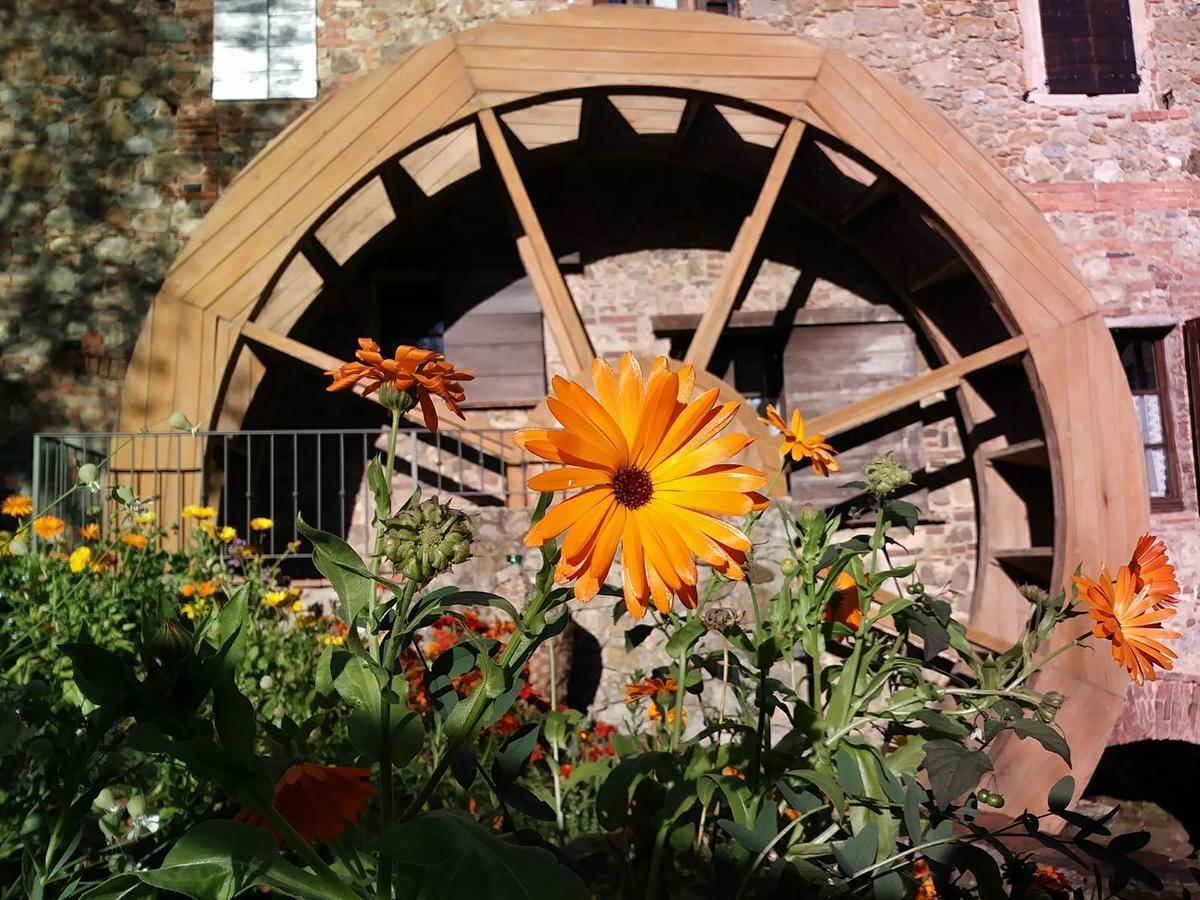 Agriturismo Il Mulino Delle Pile Chiusdino Εξωτερικό φωτογραφία