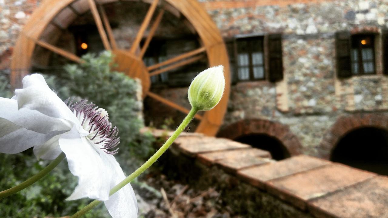 Agriturismo Il Mulino Delle Pile Chiusdino Εξωτερικό φωτογραφία